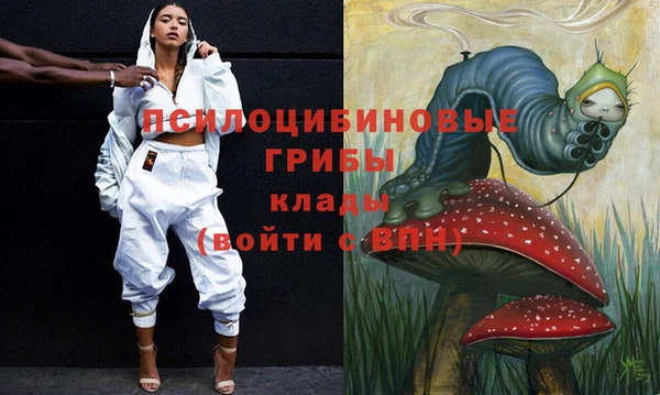 2c-b Алзамай