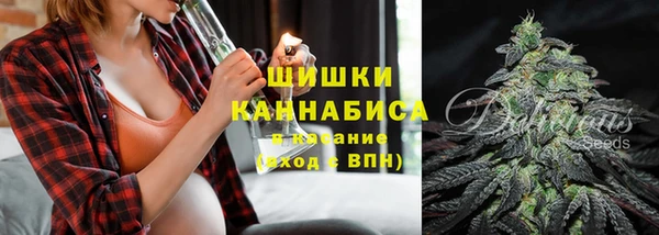 бошки Новодвинск