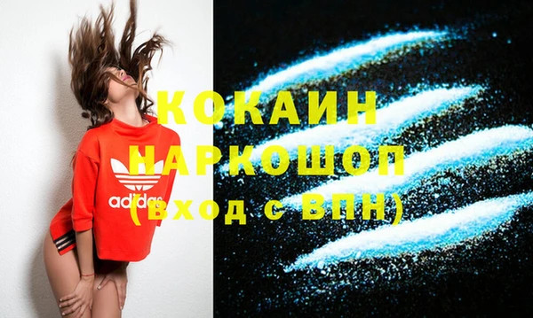 стаф Новокубанск