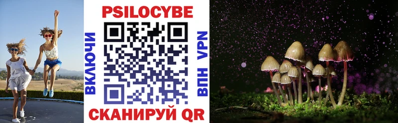 где купить наркотик  Томмот  Псилоцибиновые грибы MAGIC MUSHROOMS 